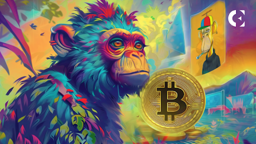 Bitcoin NFT NodeMonkes Exploded 53%, Beating BAYC in Gains