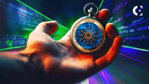 Cardano Creator Addresses FUD, Highlights Future Plans