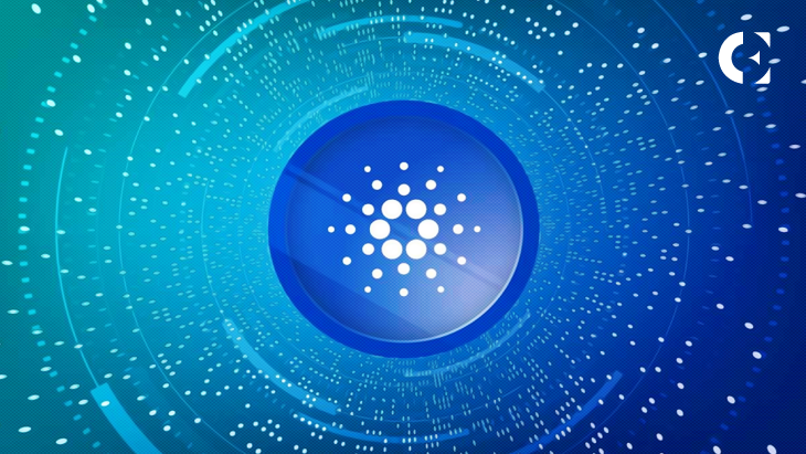 Amid Crypto Market Turbulence, Cardano and Filecoin Investors Flock to Pushd’s Stage 6 E-Commerce Presale
