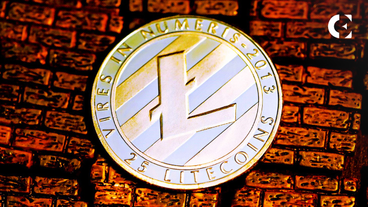 Trending Fezoo Draws in Solana & Litecoin Holders: A Decentralized Exchange Presale Threatening to Eclipse OKX