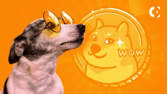 Binance Witnesses Massive DOGE Transfer: Market Impact Ahead?