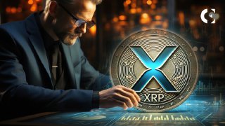 XRP Analyst Forecasts the Next Cycle Top for September 2024