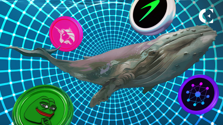 On-Chain Data Reveals New Wallets Drive UNI, BLZ, PEPE, TRB Price Swings