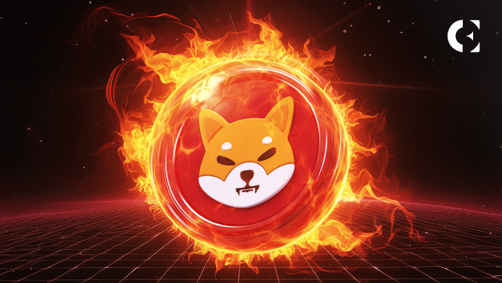 Shiba Inu's Burning Question: Can Less Supply Drive Up Demand?