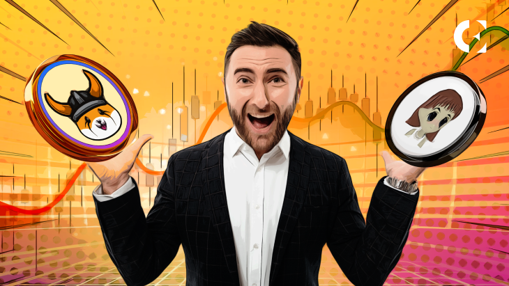 DWF Labs Pours Millions into Floki, Signaling Institutional Interest in Meme Coins