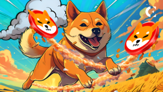 Shiba Inu Burns 11 Million SHIB, Sparking Price Surge and Investor Interest