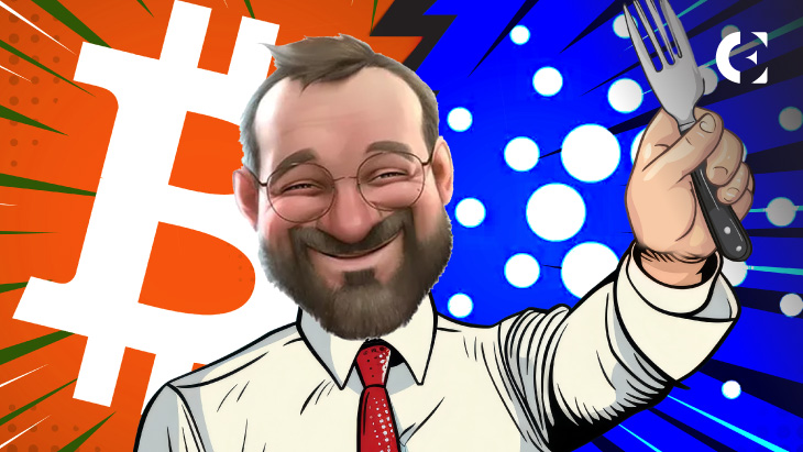 Hoskinson Stokes Bitcoin-Cardano Rivalry Chang Dwarfs BTC